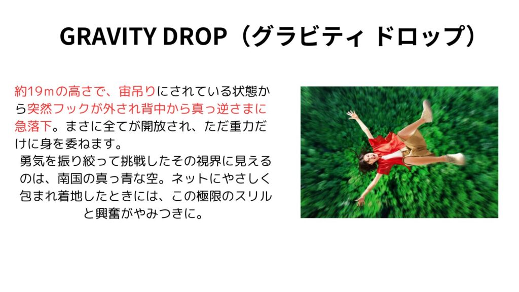 GRAVITY DROP（グラビティ ドロップ）