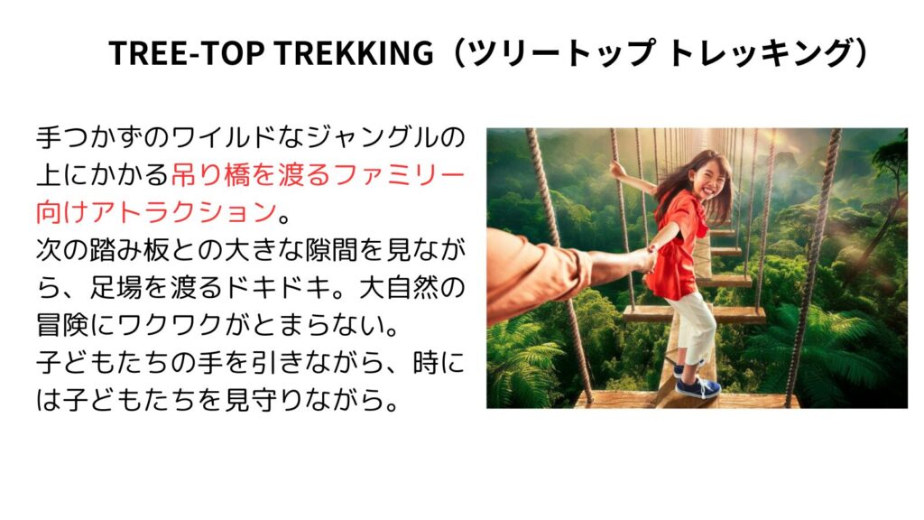 TREE-TOP TREKKING（ツリートップ トレッキング）