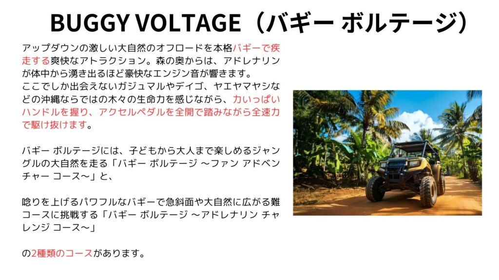 BUGGY VOLTAGE（バギー ボルテージ）