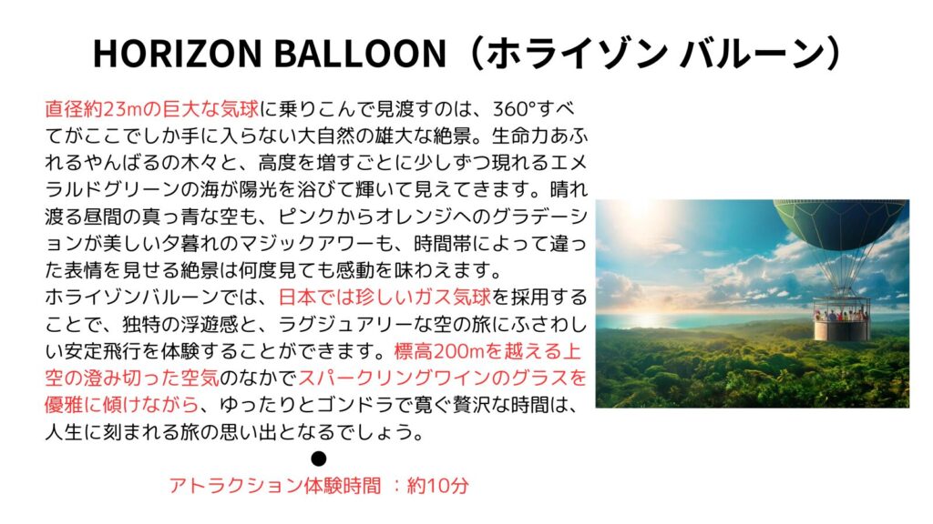 HORIZON BALLOON（ホライゾン バルーン）