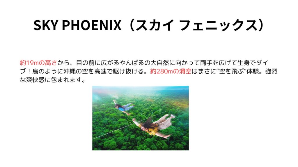 SKY PHOENIX（スカイ フェニックス）