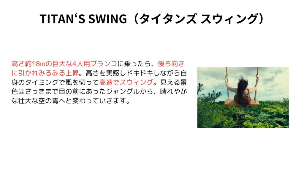 TITAN‘S SWING（タイタンズ スウィング）