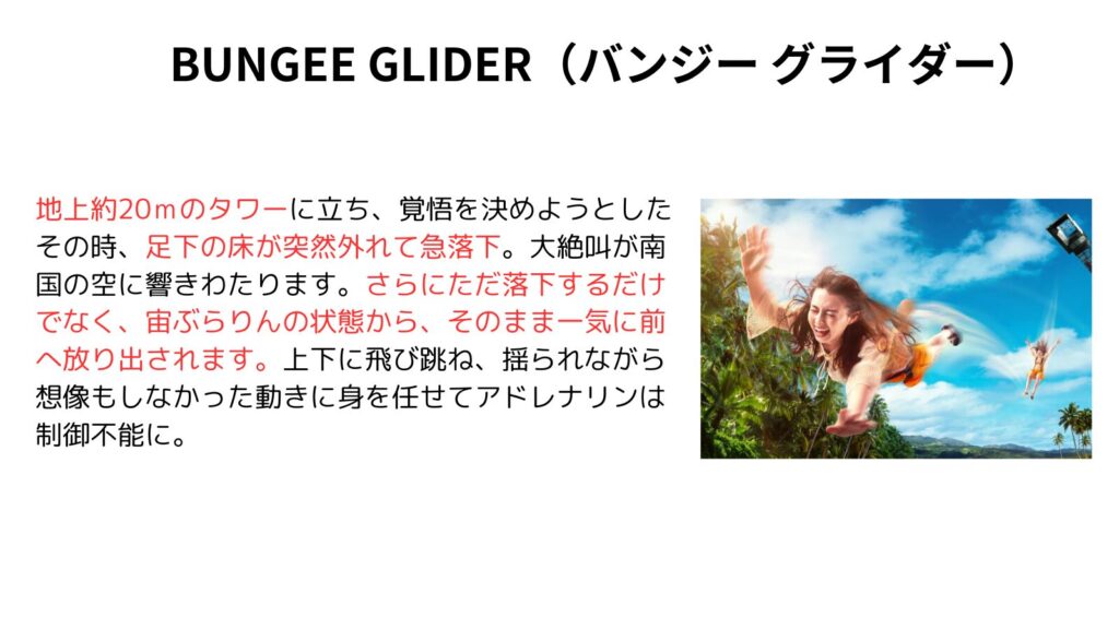 BUNGEE GLIDER（バンジー グライダー）