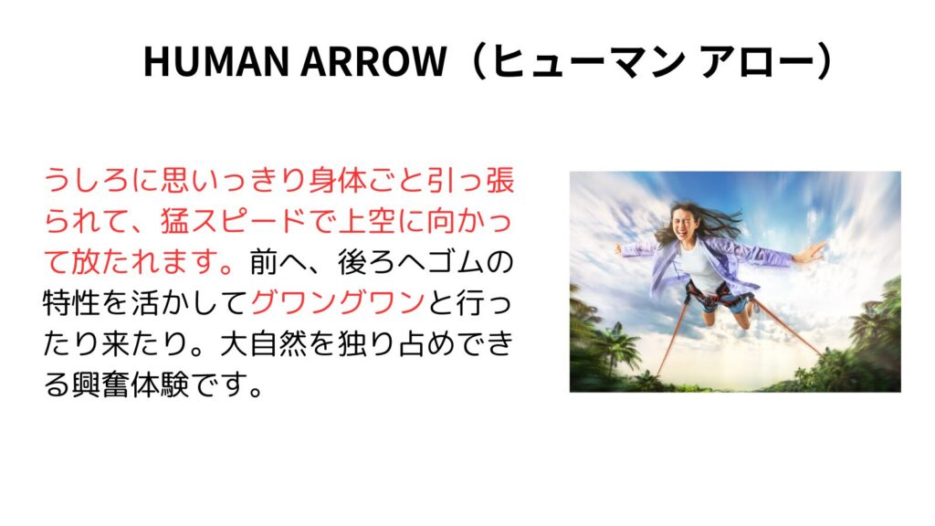 HUMAN ARROW（ヒューマン アロー）